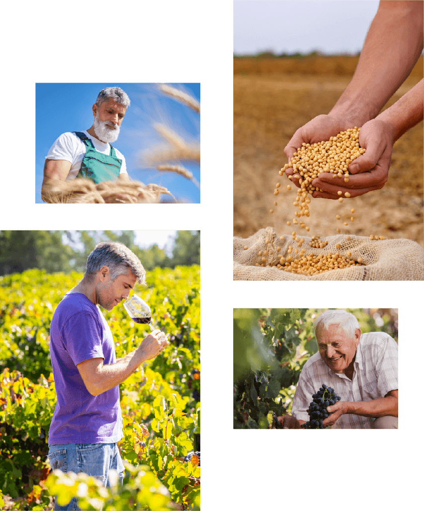 フェリシティーコンシェルジュ　イメージ